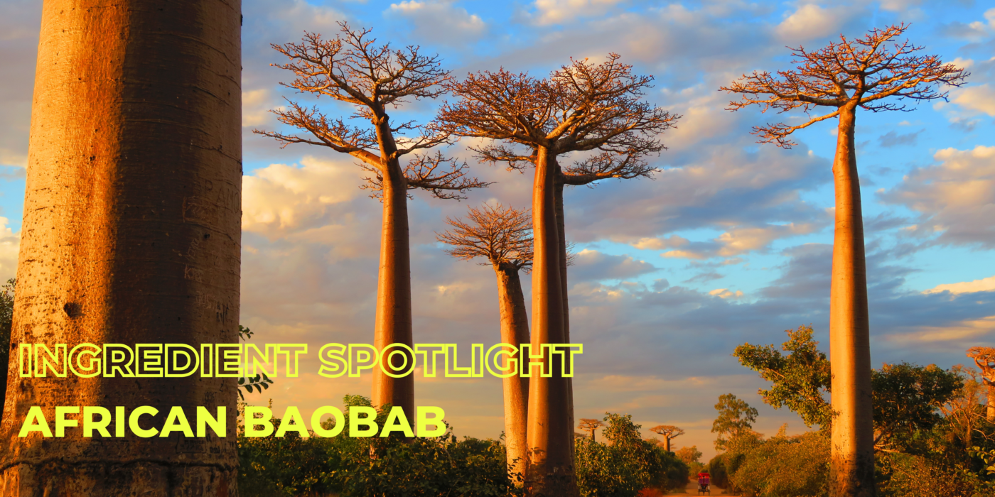 Ingredient Spotlight African Baobab